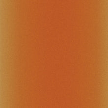 Cargar imagen en el visor de la galería, Hojas de tinta infusible Cricut con patrones 12´´ x 12´´ Leopard | 2006772