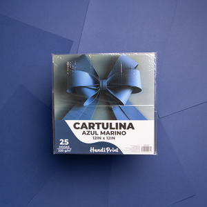 PAQUETE DE CARTULINAS 12X12" PAQ. 25 PZA HANDI PRINT  220gr