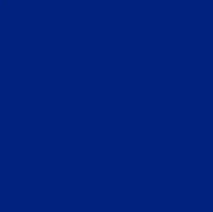 Siser Brick 600 – Vinil Textil 20″ Pulgadas (metro lineal)