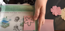 Cargar imagen en el visor de la galería, Troquel Delgado Floral Sizzix Jen Long 7 Piezas | 664443