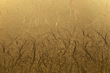 Cargar imagen en el visor de la galería, Vinil Cricut Textured Metallic Dorado 30.5 x 122 cm 2011834