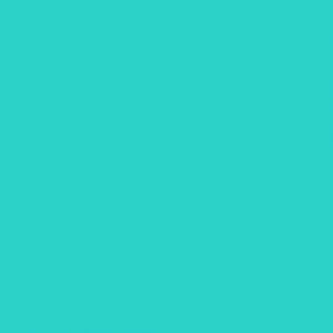 ROLLO DE VINIL PREMIUM TEAL CRICUT 12X48"