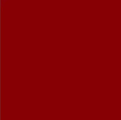 Vinil Textil Siser Easyweed 12
