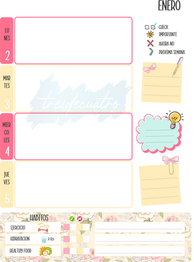Archivo Digital de: Agenda Semanal 2023 Chicas Flores Medio Oficio 17 x 21.5 cm