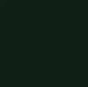Vinil Textil Siser Easyweed 12" (metro Lineal)
