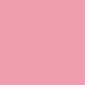 Vinil Textil Siser Easyweed 12" (metro Lineal)