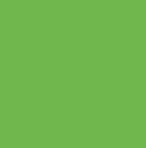 Vinil Textil Siser Easyweed 12" (metro Lineal)