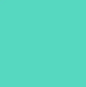 Vinil Textil Siser Easyweed 12" (metro Lineal)